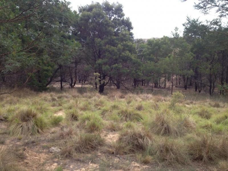 Lot 4, 98-108 Gorman Road, Goulburn NSW 2580