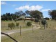 145 Cullerin Road Breadalbane via, Goulburn NSW 2580