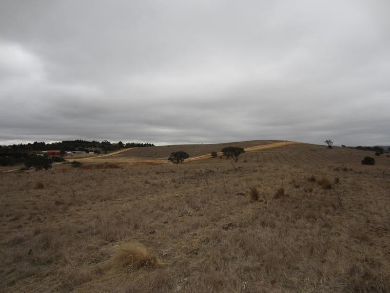 Lot 16,  The Meadows of Bonnett Park, Goulburn NSW 2580