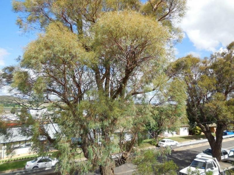 10 Broughton Street, Goulburn NSW 2580