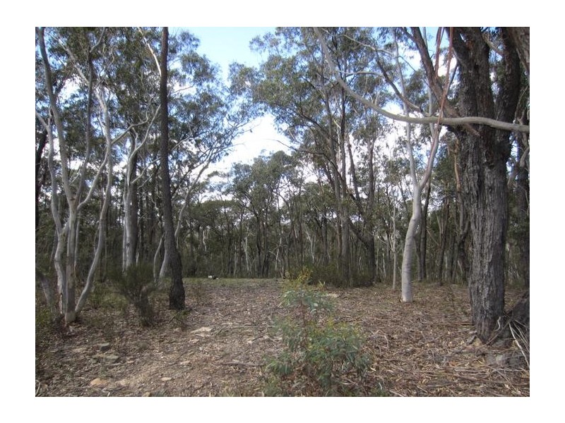 1030 Mountain Ash Road, Goulburn NSW 2580