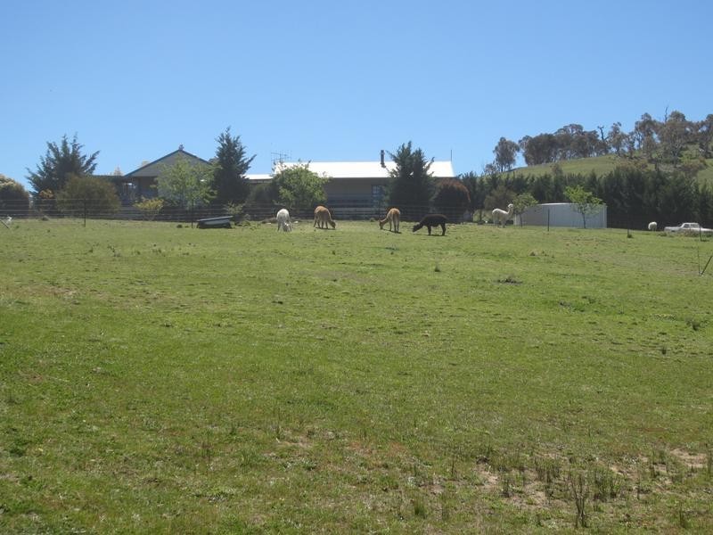 1142 Pomeroy Road, Mummel, Goulburn NSW 2580