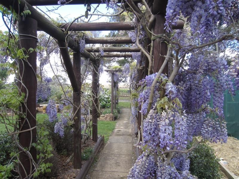 1961 Range Road, Mummell via, Goulburn NSW 2580