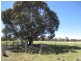 1961 Range Road, Mummell via, Goulburn NSW 2580