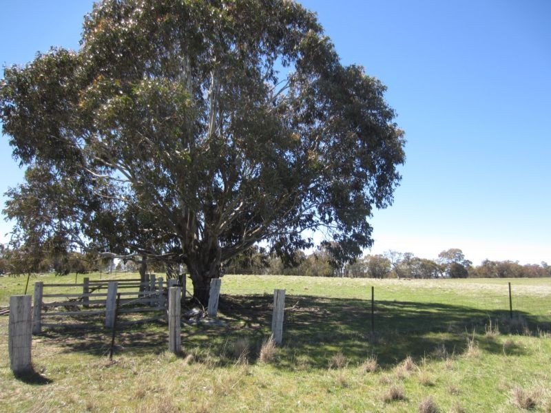 1961 Range Road, Mummell via, Goulburn NSW 2580