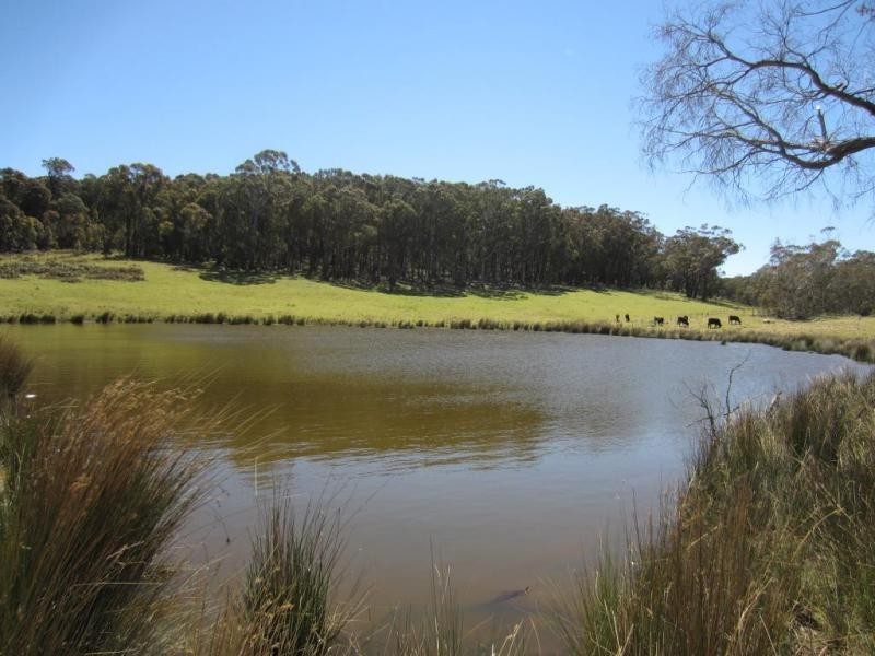 1367 Rhyanna Road, Goulburn NSW 2580