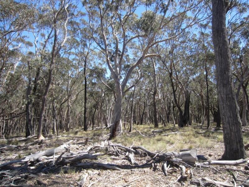 1367 Rhyanna Road, Goulburn NSW 2580