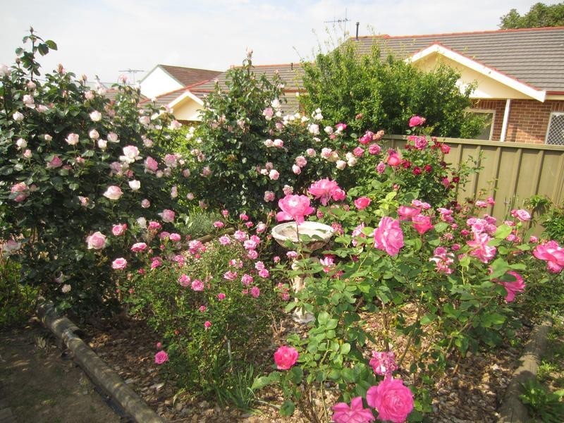 142 Bourke Street, Goulburn NSW 2580