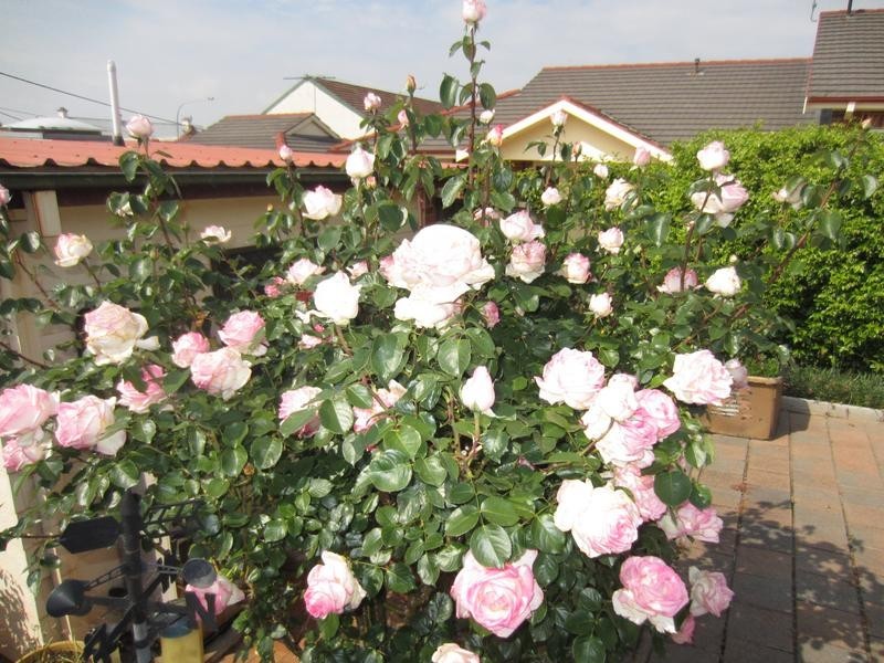 142 Bourke Street, Goulburn NSW 2580