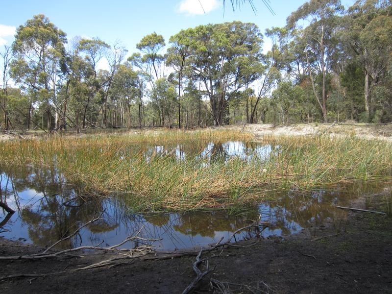 50 Blakes Boulevard, Bungonia NSW 2580