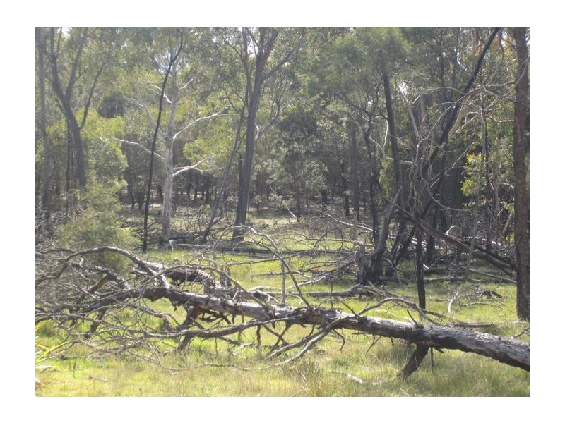 50 Blakes Boulevard, Bungonia NSW 2580