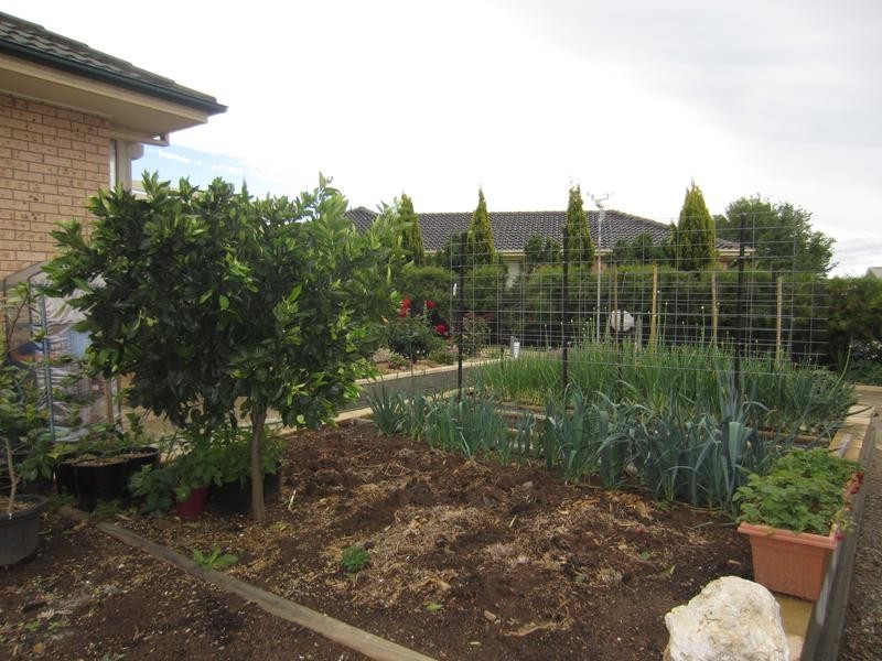 5 Oakwood Avenue, Goulburn NSW 2580