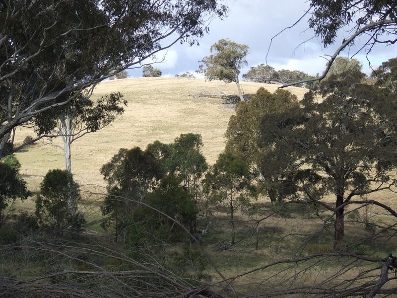 Lot 33, 54,75,  Marble Hill Road, Goulburn NSW 2580