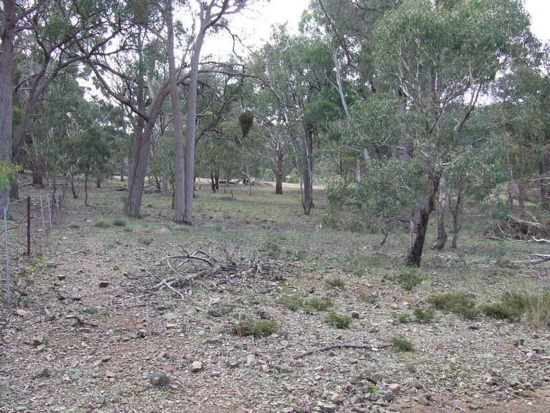 Lot 33, 54,75,  Marble Hill Road, Goulburn NSW 2580