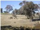 Lot 33, 54,75,  Marble Hill Road, Goulburn NSW 2580