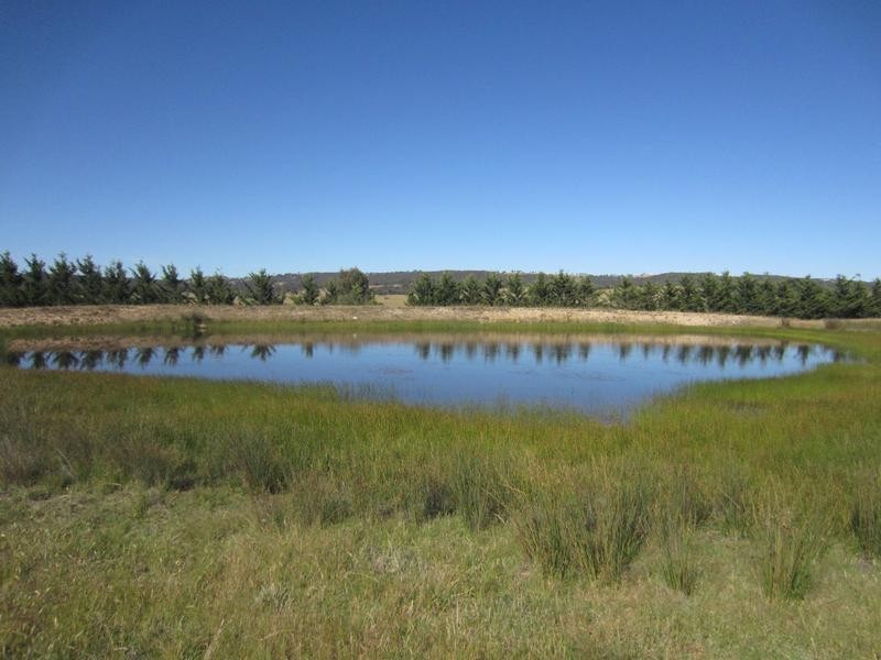 1022 Pomeroy Road, Mummel via, Goulburn NSW 2580