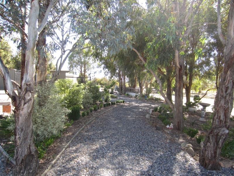 1022 Pomeroy Road, Mummel via, Goulburn NSW 2580