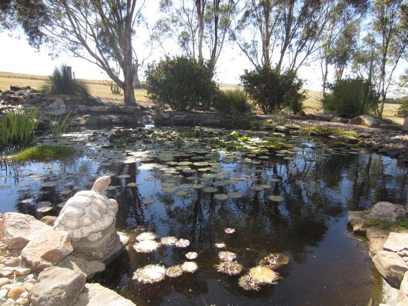 1022 Pomeroy Road, Mummel via, Goulburn NSW 2580