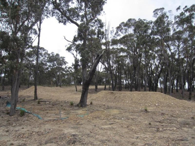 87 Gumnut Crescent, Bungonia NSW 2580