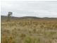 286 Annie’s Lane, Wayo via, Goulburn NSW 2580