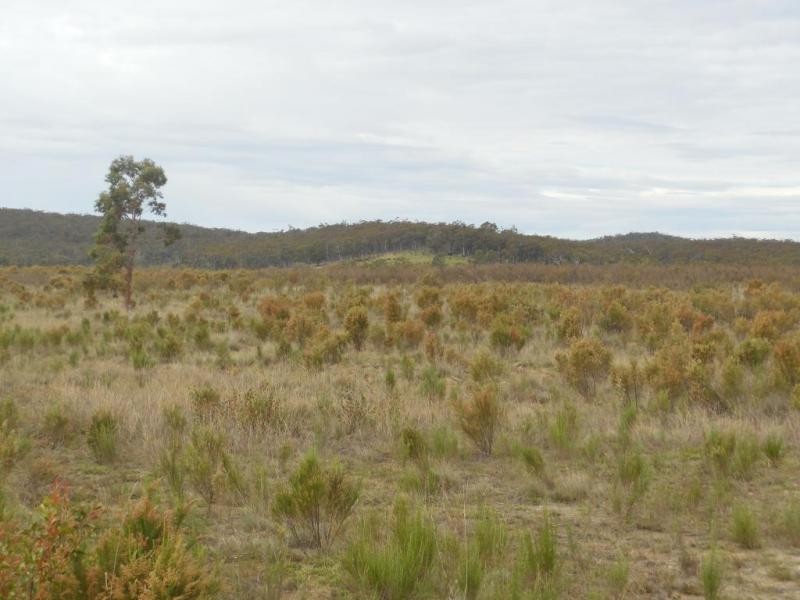 286 Annie’s Lane, Wayo via, Goulburn NSW 2580