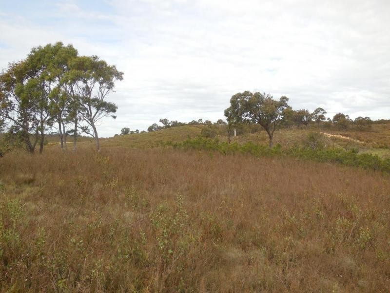 286 Annie’s Lane, Wayo via, Goulburn NSW 2580