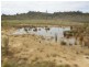 286 Annie’s Lane, Wayo via, Goulburn NSW 2580