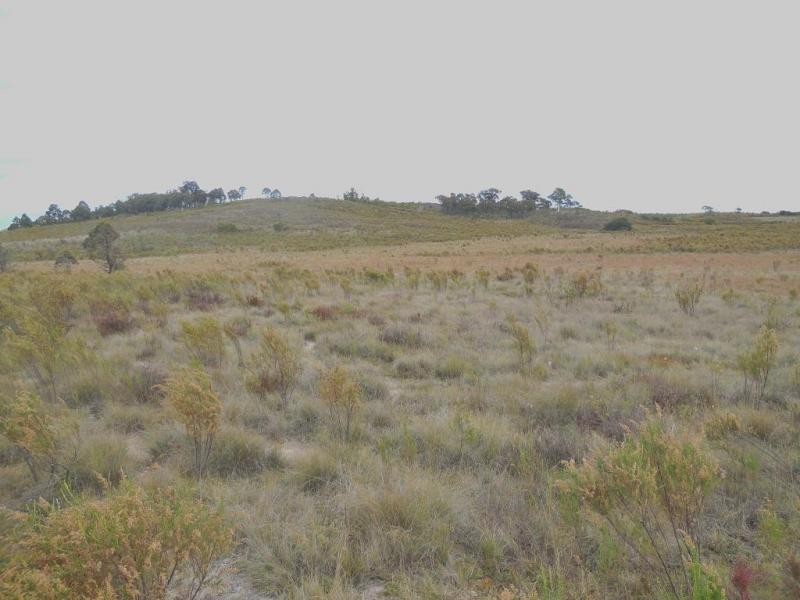 286 Annie’s Lane, Wayo via, Goulburn NSW 2580