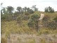286 Annie’s Lane, Wayo via, Goulburn NSW 2580
