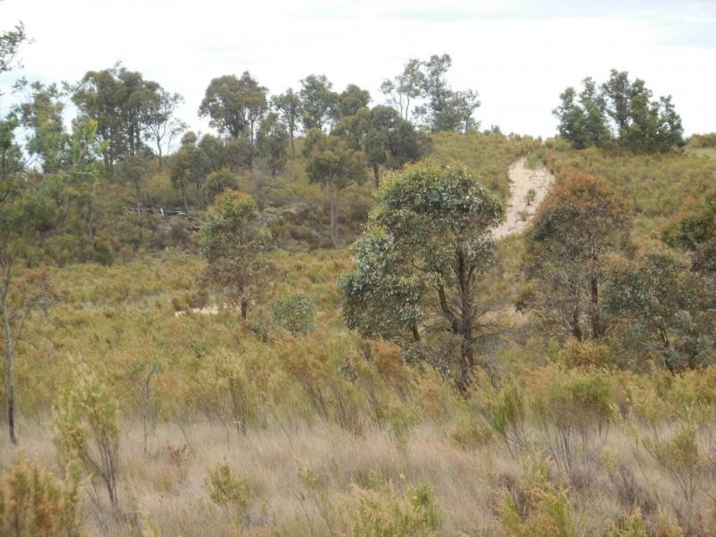 286 Annie’s Lane, Wayo via, Goulburn NSW 2580