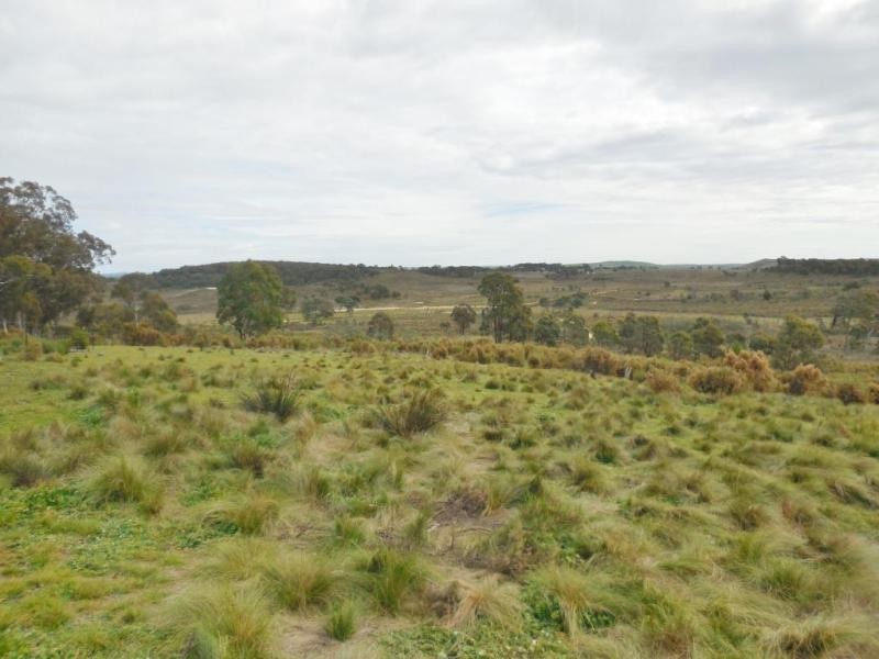 286 Annie’s Lane, Wayo via, Goulburn NSW 2580