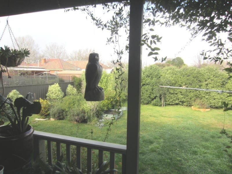 98 Kinghorne Street, Goulburn NSW 2580