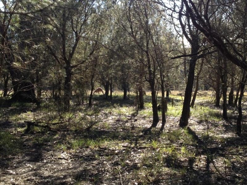 718 Lumley Road, Bungonia NSW 2580