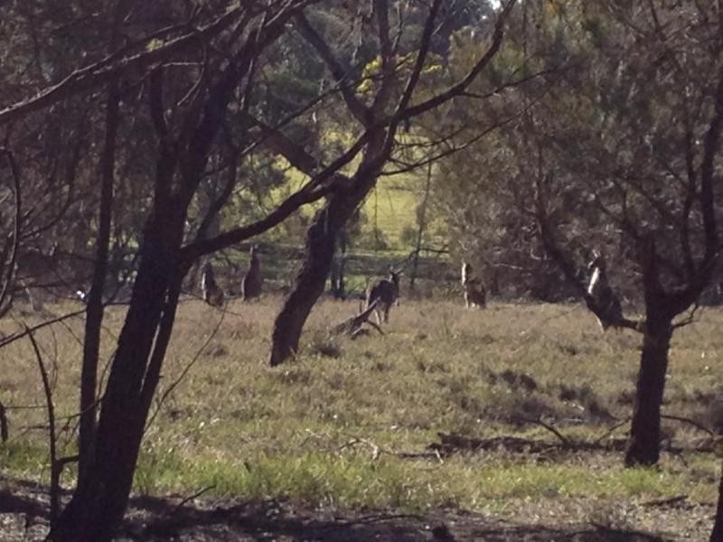 718 Lumley Road, Bungonia NSW 2580