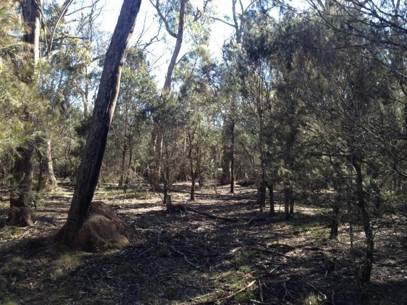 718 Lumley Road, Bungonia NSW 2580