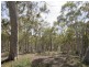 397 Jacqua Road, Windellama NSW 2580