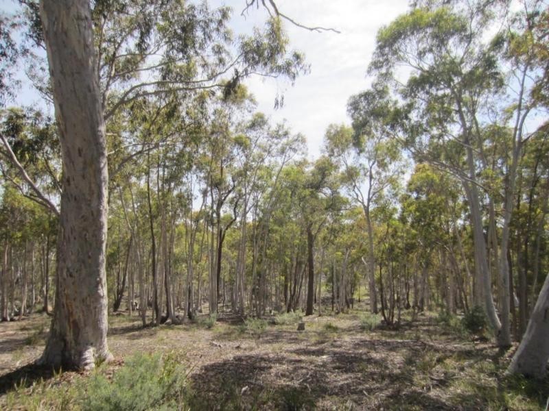 397 Jacqua Road, Windellama NSW 2580