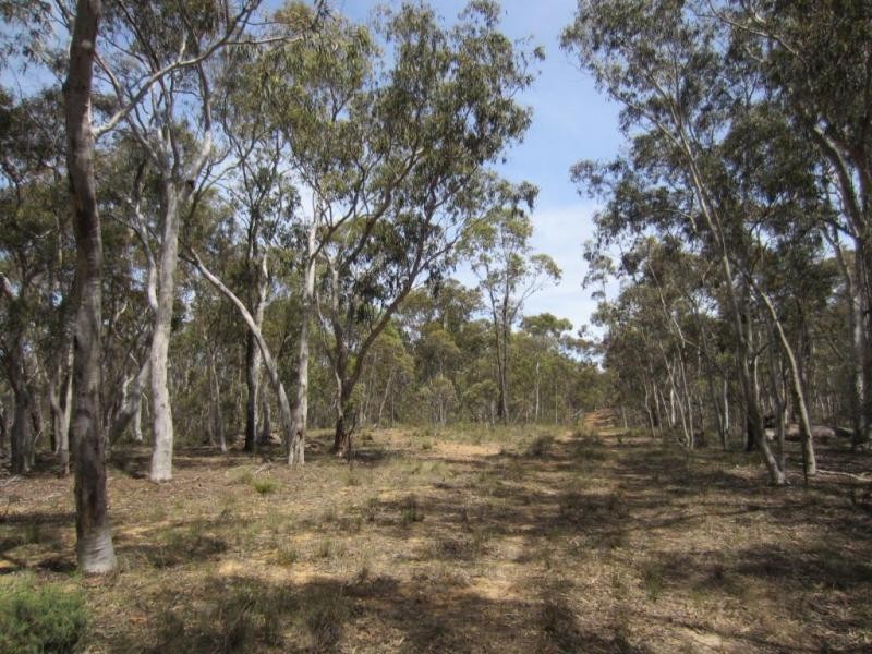 397 Jacqua Road, Windellama NSW 2580