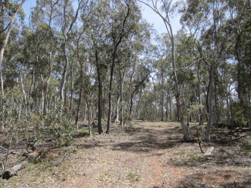 397 Jacqua Road, Windellama NSW 2580