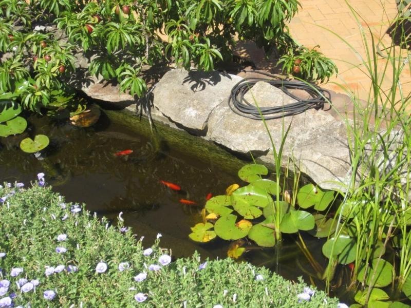 25 Ada Street, Goulburn NSW 2580