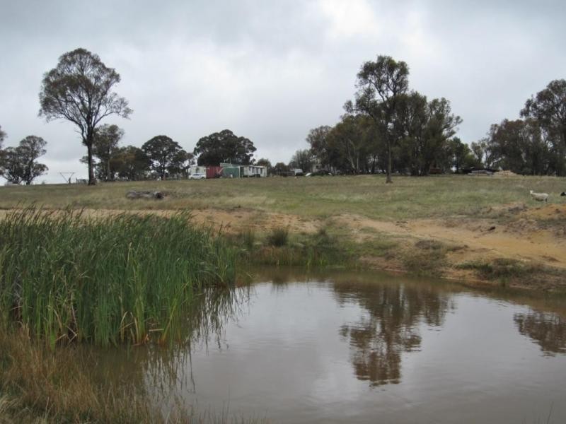 1820 Range Road, Mummel via, Goulburn NSW 2580