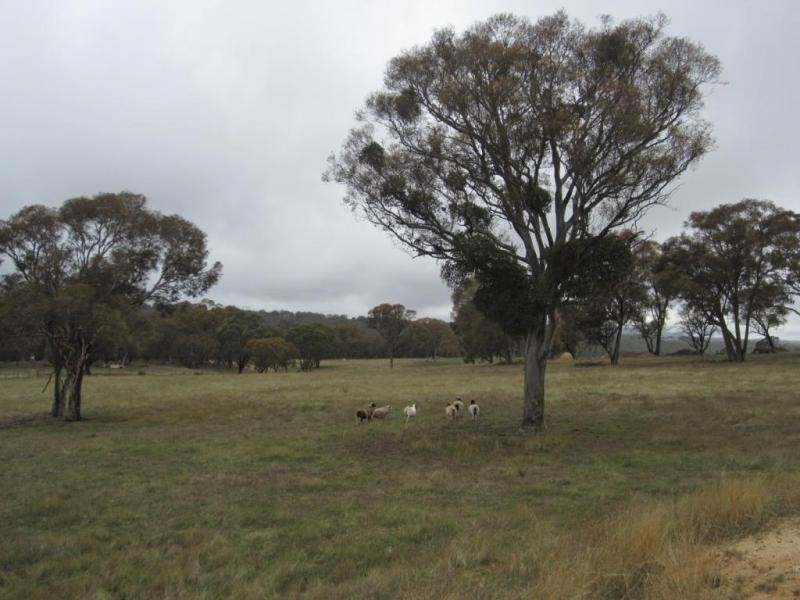 1820 Range Road, Mummel via, Goulburn NSW 2580