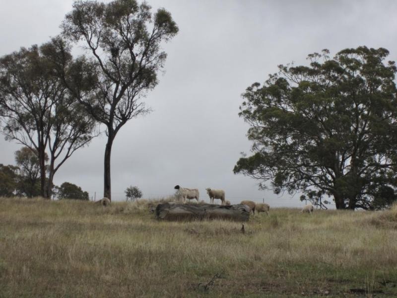 1820 Range Road, Mummel via, Goulburn NSW 2580