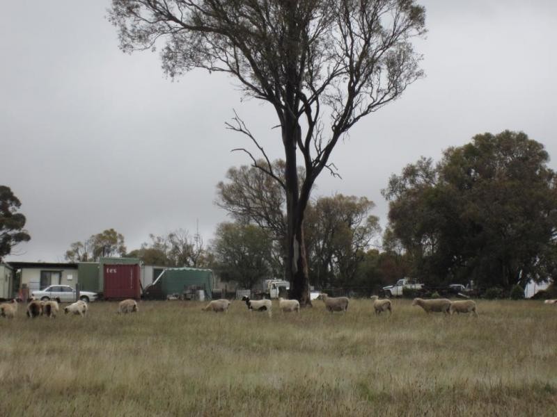 1820 Range Road, Mummel via, Goulburn NSW 2580