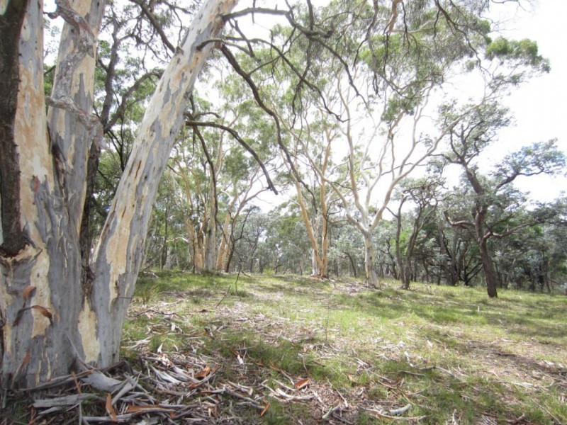 52 Wattle Place, Bungonia NSW 2580