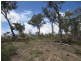 52 Wattle Place, Bungonia NSW 2580