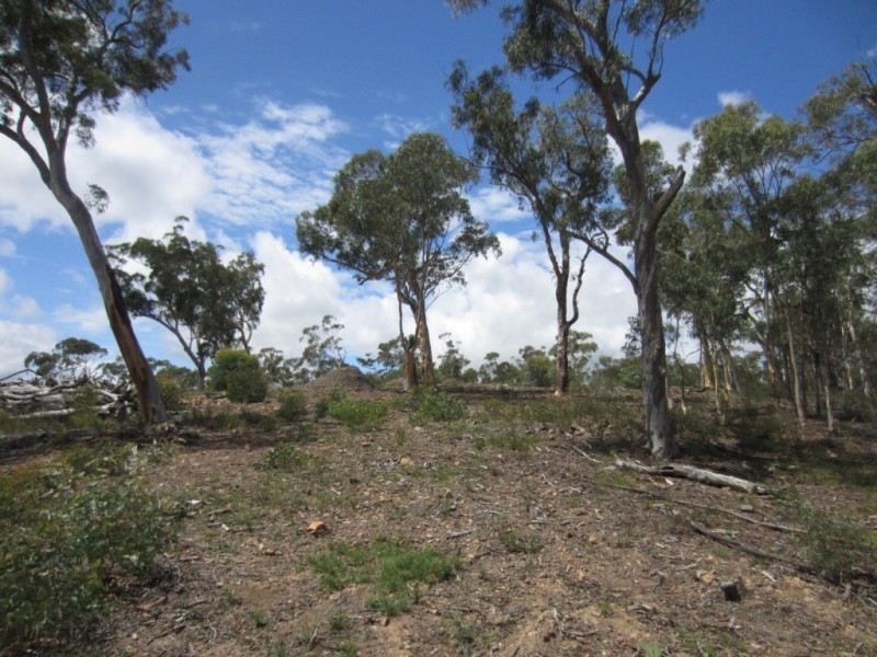 52 Wattle Place, Bungonia NSW 2580