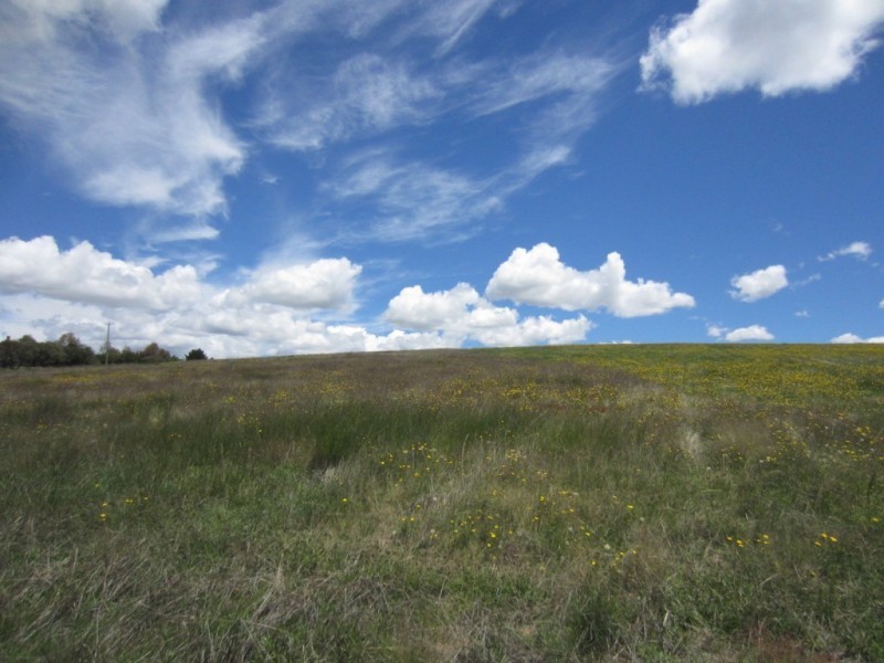 Lot 23 The Meadows of Bonnett Park, Goulburn NSW 2580
