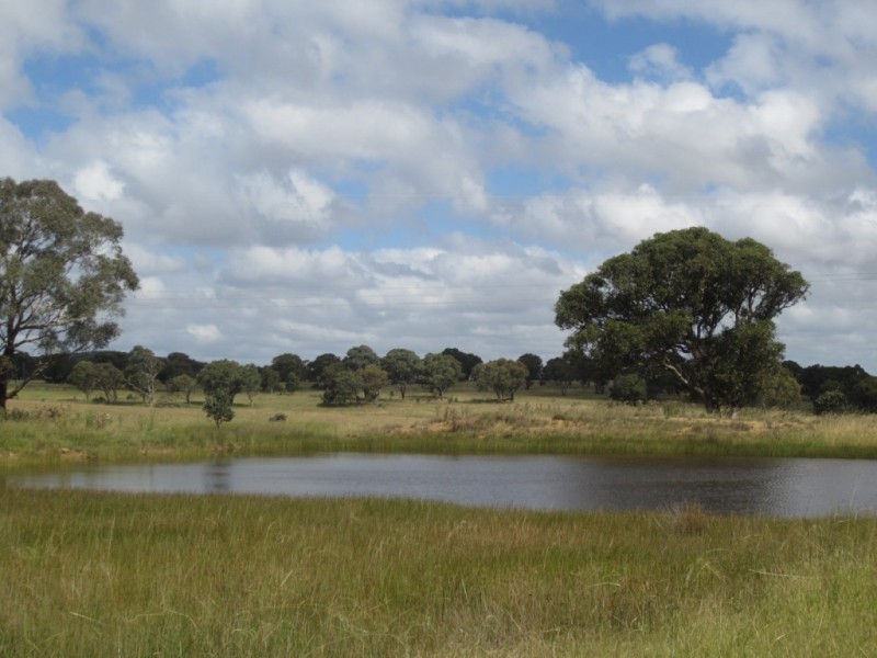 403 Rosemont Road, Goulburn NSW 2580