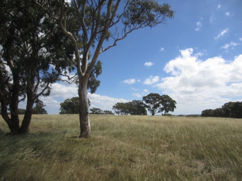 403 Rosemont Road, Goulburn NSW 2580